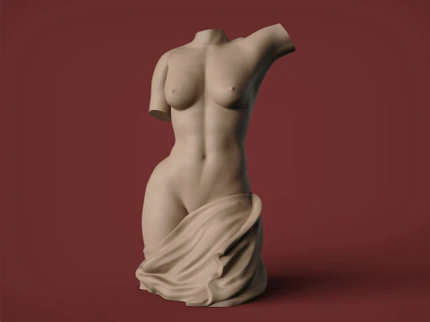 Female Torso 3D Print Model
