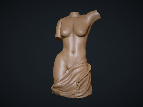 Female Torso 3D प्रिंट मॉडल