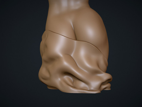 Female Torso 3D प्रिंट मॉडल