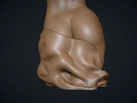 Female Torso 3D Print Model