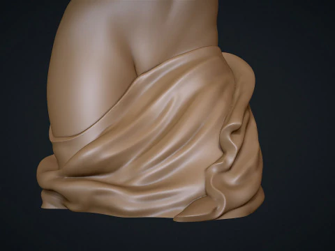 Female Torso 3D Print Model