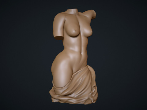 Female Torso 3D प्रिंट मॉडल