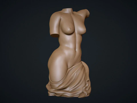 Female Torso 3D Print Model