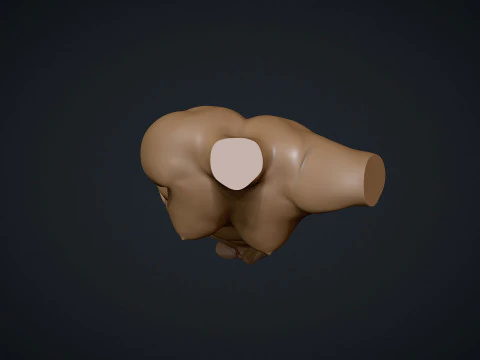 Female Torso 3D Print Model