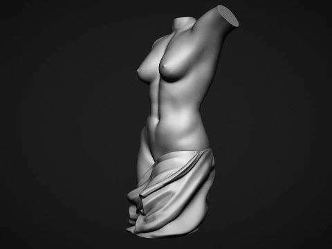 Female Torso 3D Print Model