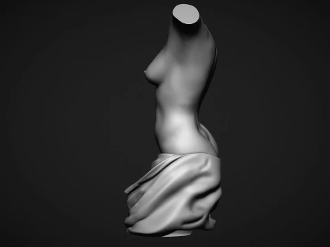 Female Torso 3D Print Model