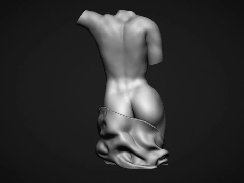 Female Torso 3D Print Model