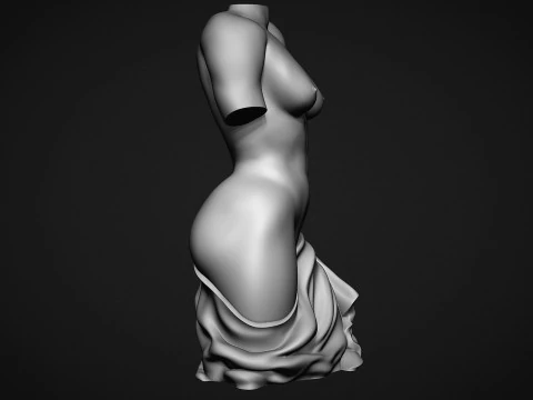 Female Torso 3D Print Model