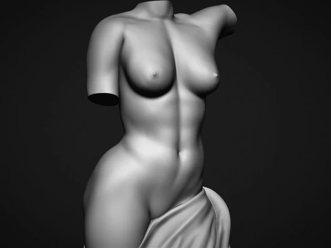 Female Torso 3D Print Model