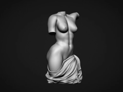 Female Torso 3D Print Model