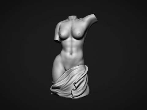 Female Torso 3D Print Model