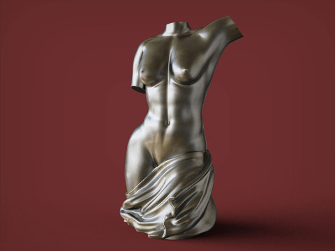 Female Torso 3D प्रिंट मॉडल