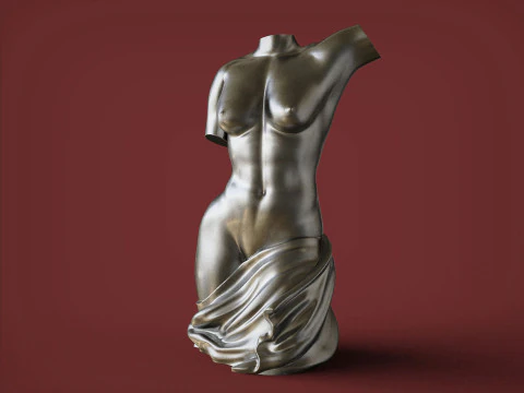 Female Torso 3D Print Model