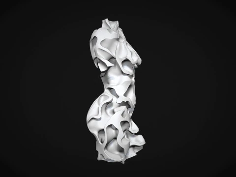 Female Torso Art 3D Print Model