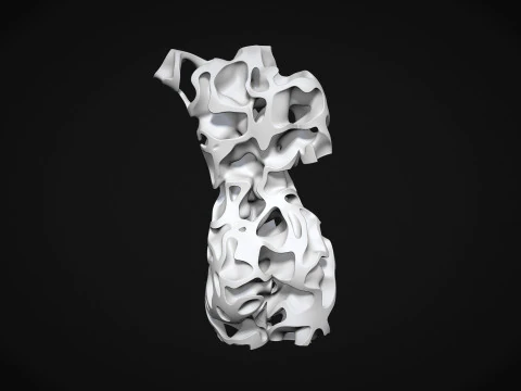 Female Torso Art 3D Print Model