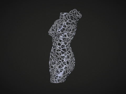 Female Torso Lattice Voronoi 3D 打印模型