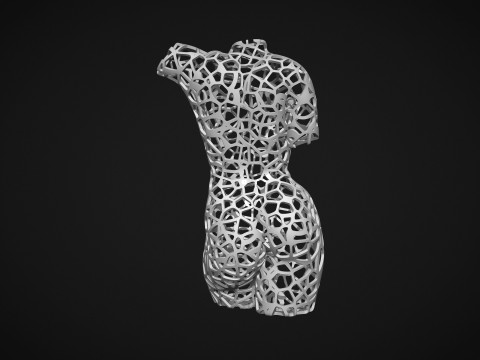 Female Torso Lattice Voronoi 3D 打印模型