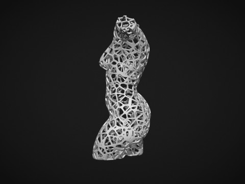 Female Torso Lattice Voronoi 3D 打印模型