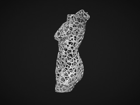 Female Torso Lattice Voronoi 3D 打印模型