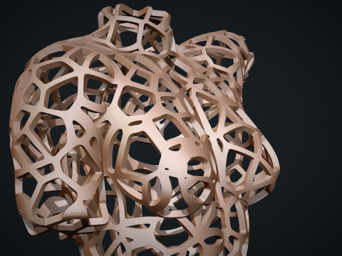Female Torso Lattice Voronoi 3D 打印模型
