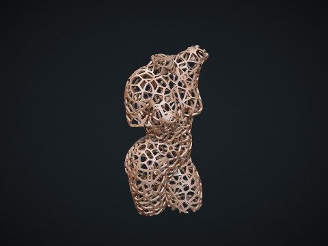 Female Torso Lattice Voronoi 3D 打印模型