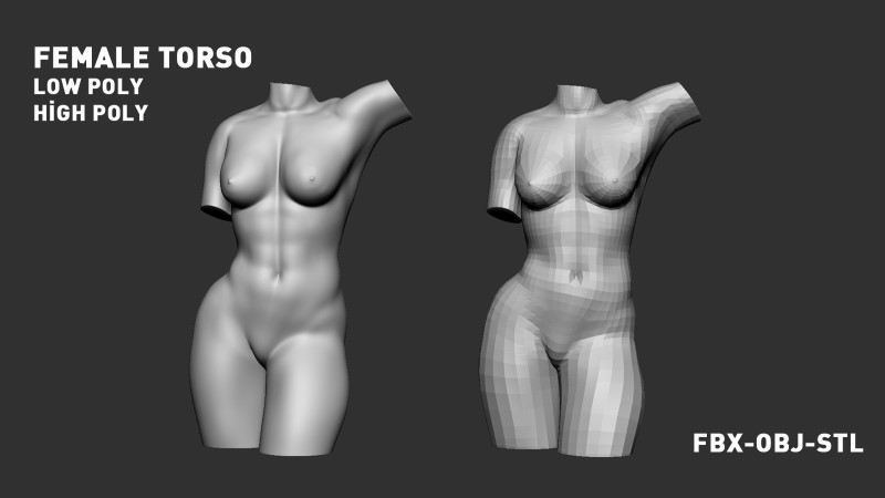 Female Torso Modelo de Impressão 3D .c4d .max .obj .3ds .fbx .stl .blend 