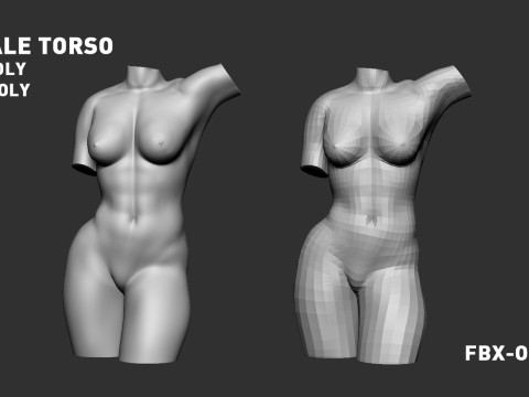 Female Torso Modello di stampa 3D