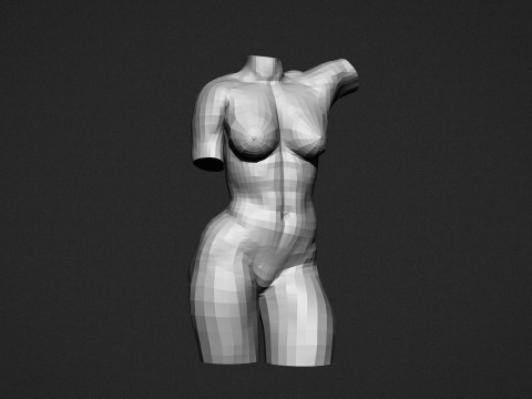 Female Torso Modelo de Impressão 3D