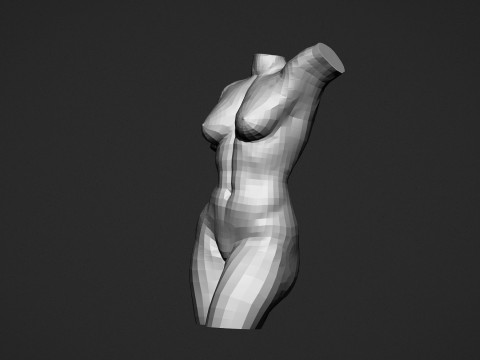 Female Torso Modelo de Impressão 3D