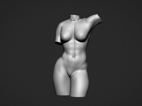 Female Torso Modelo de Impressão 3D
