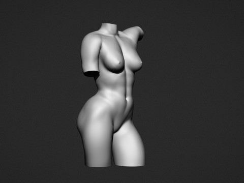 Female Torso Modelo de Impressão 3D