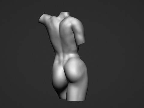 Female Torso Modelo de Impressão 3D