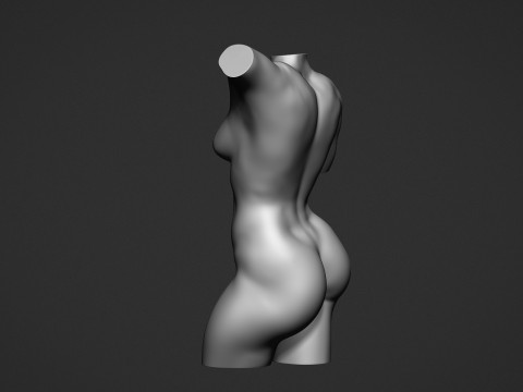 Female Torso Modelo de Impressão 3D