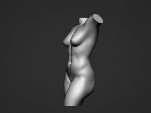 Female Torso Modelo de Impressão 3D
