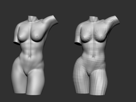 Female Torso Modelo de Impressão 3D