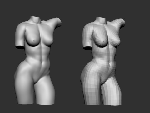 Female Torso Modelo de Impressão 3D