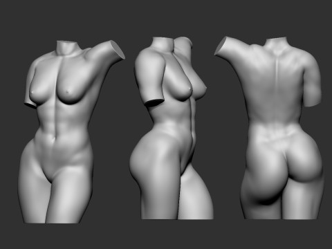 Female Torso Modelo de Impressão 3D