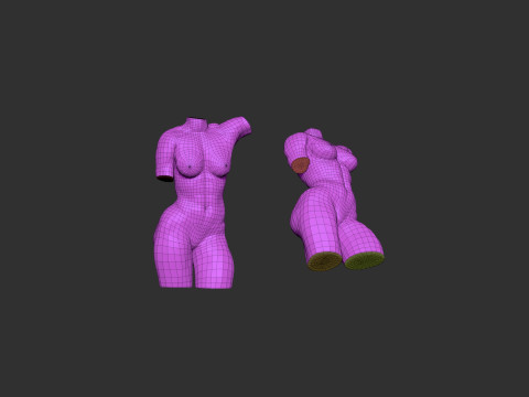 Female Torso Modelo de Impressão 3D