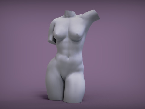 Female Torso Modelo de Impressão 3D