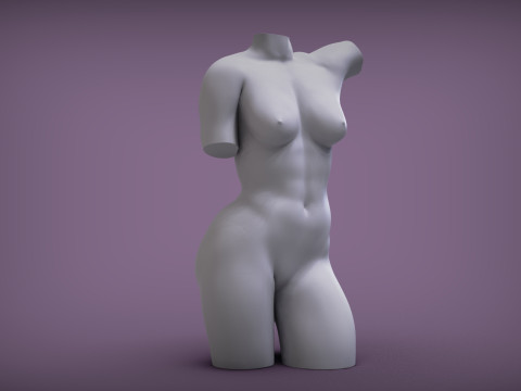 Female Torso Modelo de Impressão 3D