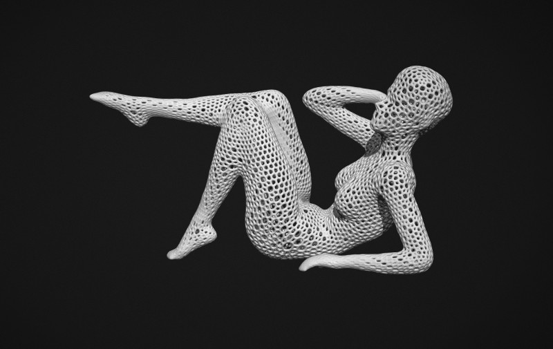 Female figure Lattice Voronoi 3D Druckmodell .c4d .max .obj .3ds .fbx .stl .blend