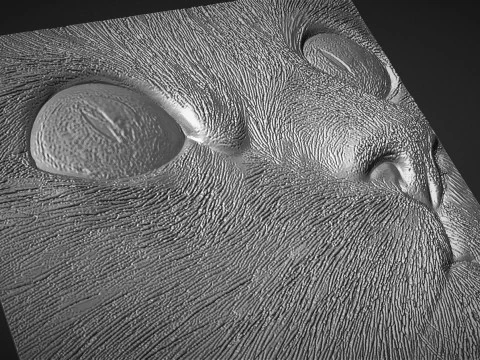 Cat head wall decor 3D Print Model