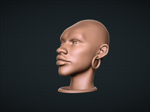 African Woman Head Figure Modello di stampa 3D