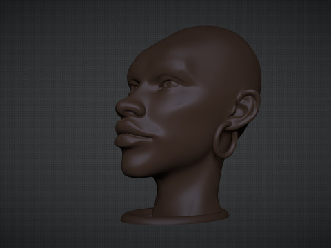 African Woman Head Figure Modello di stampa 3D