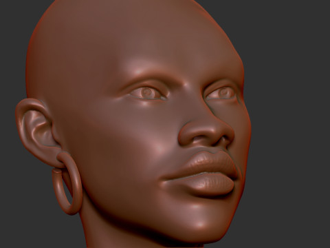 African Woman Head Figure Modello di stampa 3D