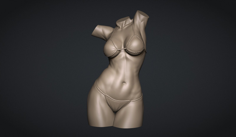 Female Torso 3D Druckmodell .c4d .max .obj .3ds .fbx .stl .blend 