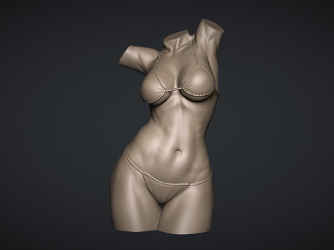 Female Torso 3D Print Model