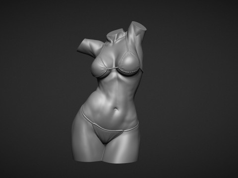 Female Torso 3D Druckmodell