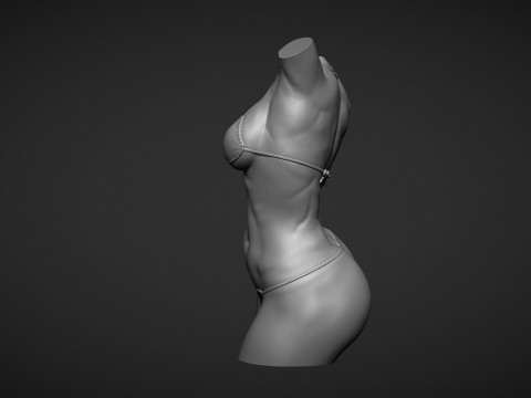 Female Torso 3D Druckmodell