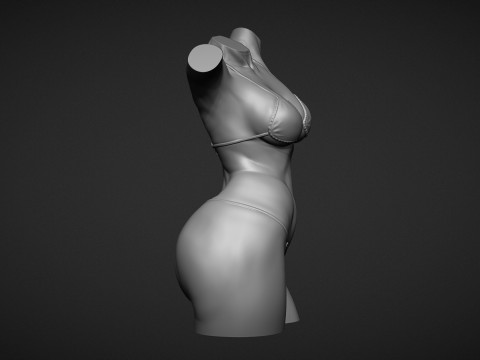 Female Torso 3D Druckmodell